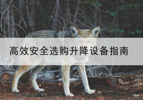 贺兰升降货梯厂家推荐-*安全选购升降设备指南