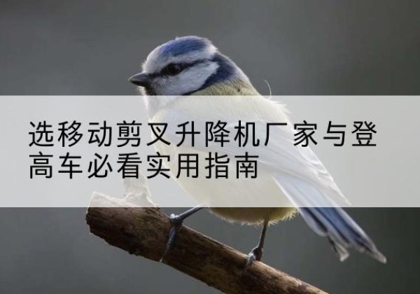 贺兰电动升降机厂家-选移动剪叉升降机厂家与登高车必看实用指南