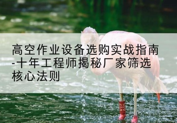 贺兰剪叉式升降机厂家-高空作业设备选购实战指南-十年工程师揭秘厂家筛选核心法则